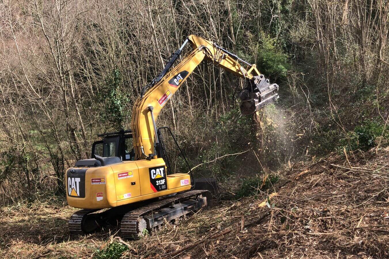 Escavatore caterpillar 313 a noleggio da CGTE con decespugliatore al lavoro in una bonifica in un bosco CGTE Noleggio